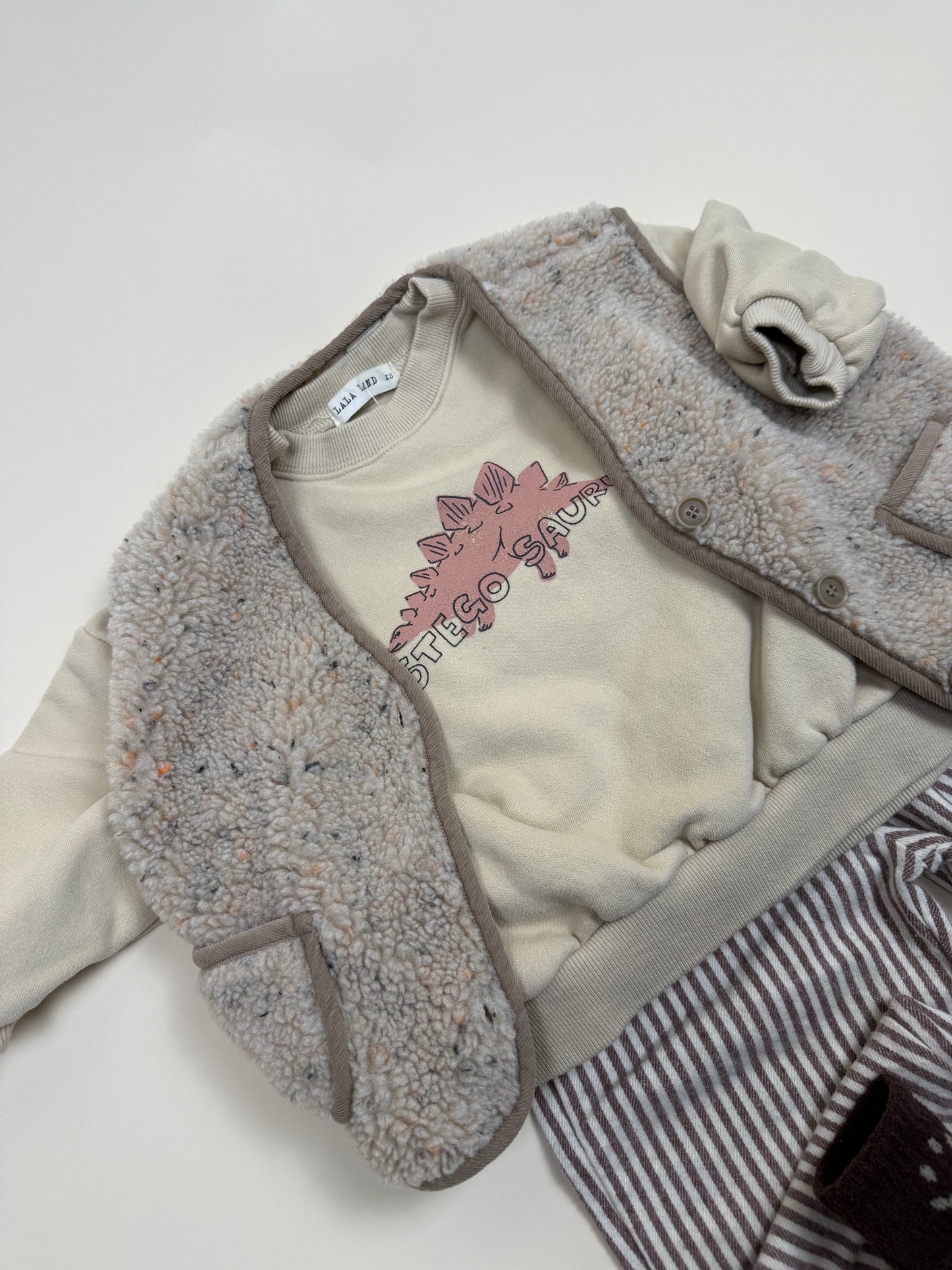 SWEATSHIRT| winter dino classic