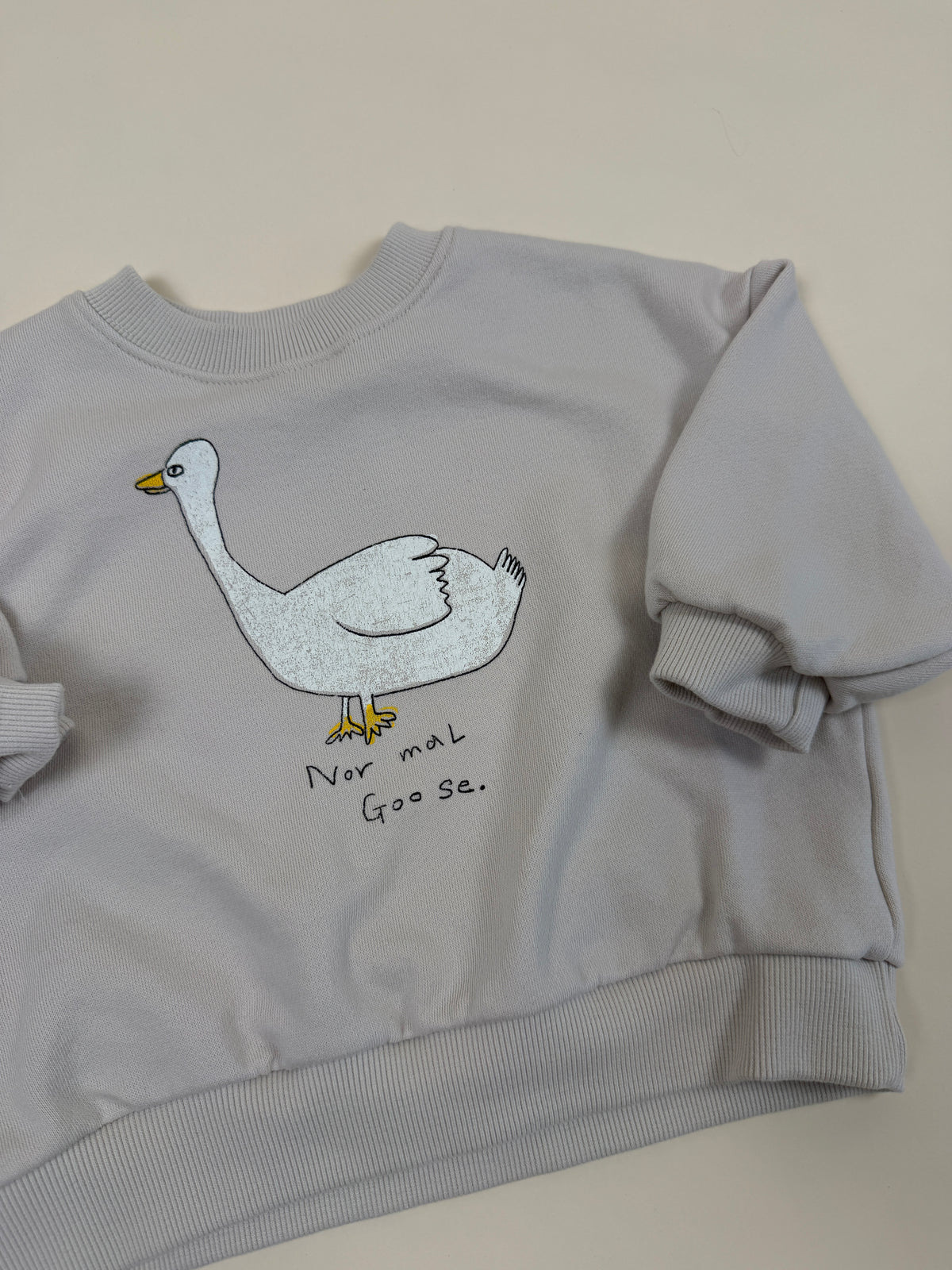 SWEATSHIRT | Little Goose