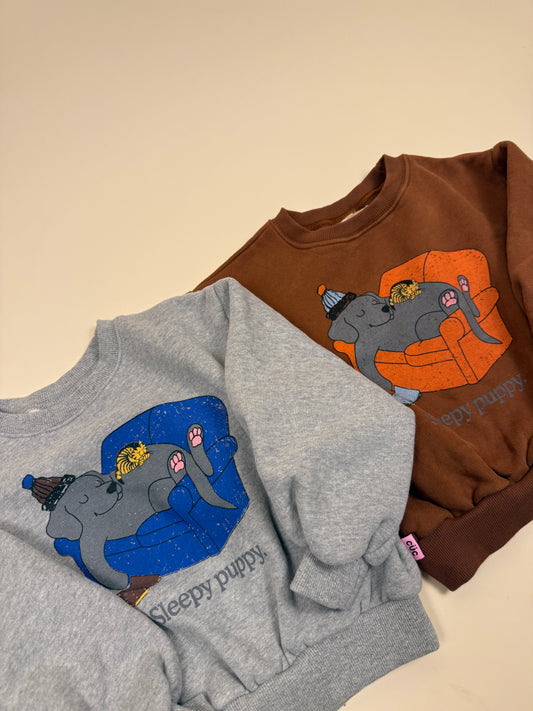 SWEATSHIRT| lazy dog