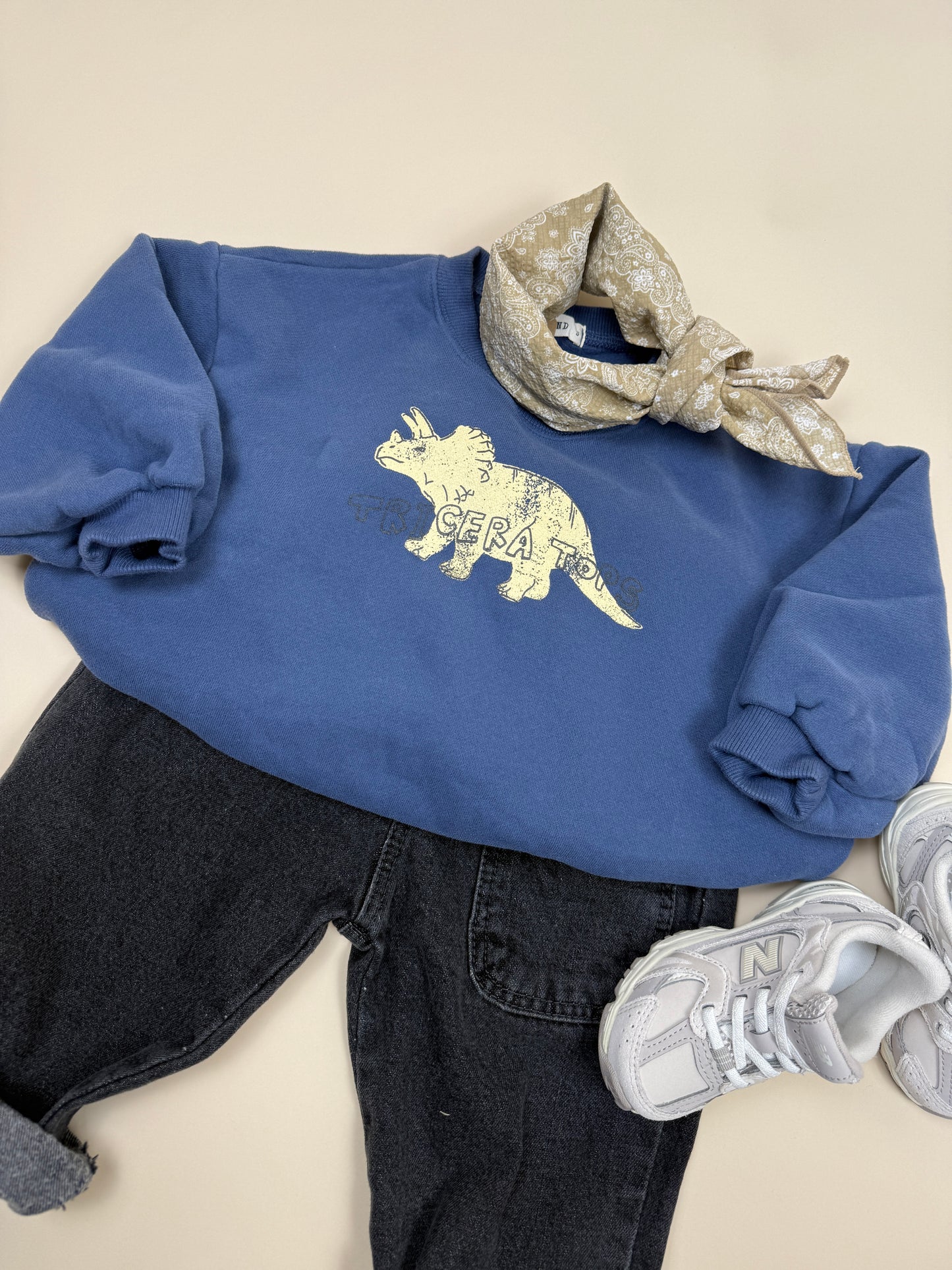 SWEATSHIRT| winter dino classic