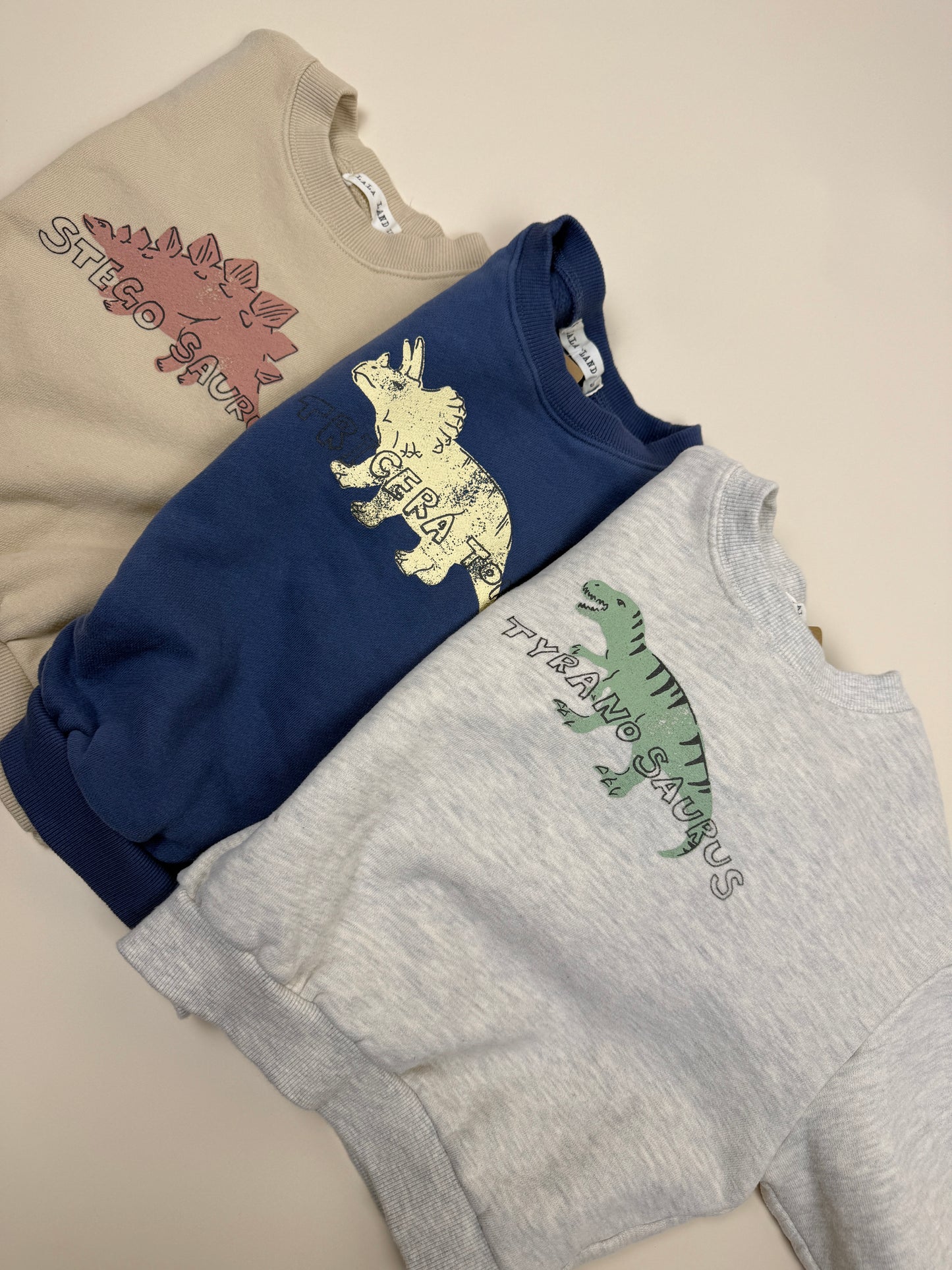 SWEATSHIRT| winter dino classic