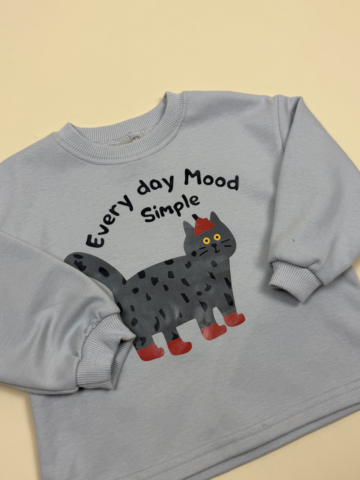 SWEATSHIRT | Gray Cat