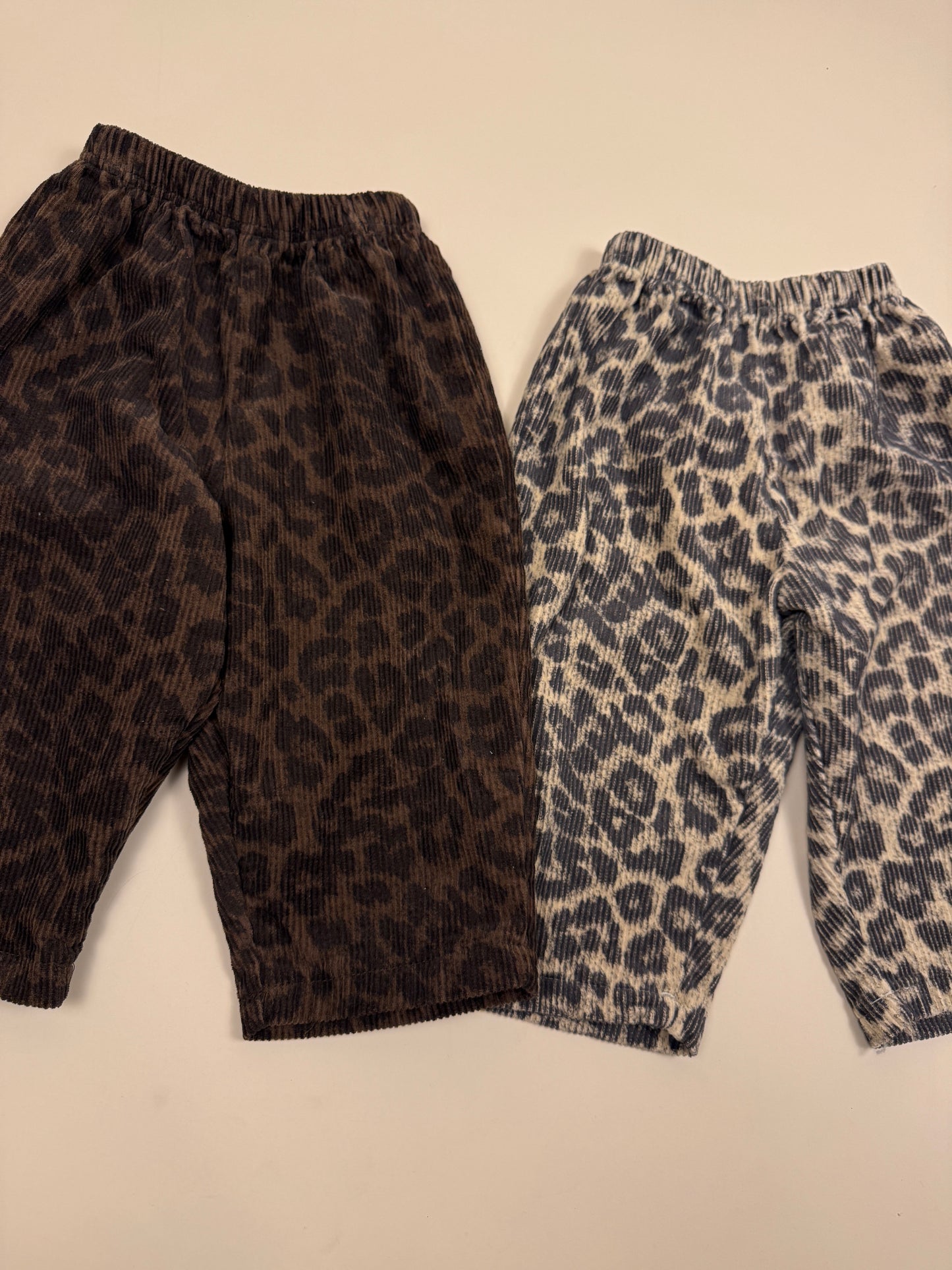 PANTS| leo cordy