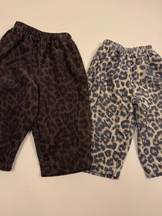 PANTS| leo cordy