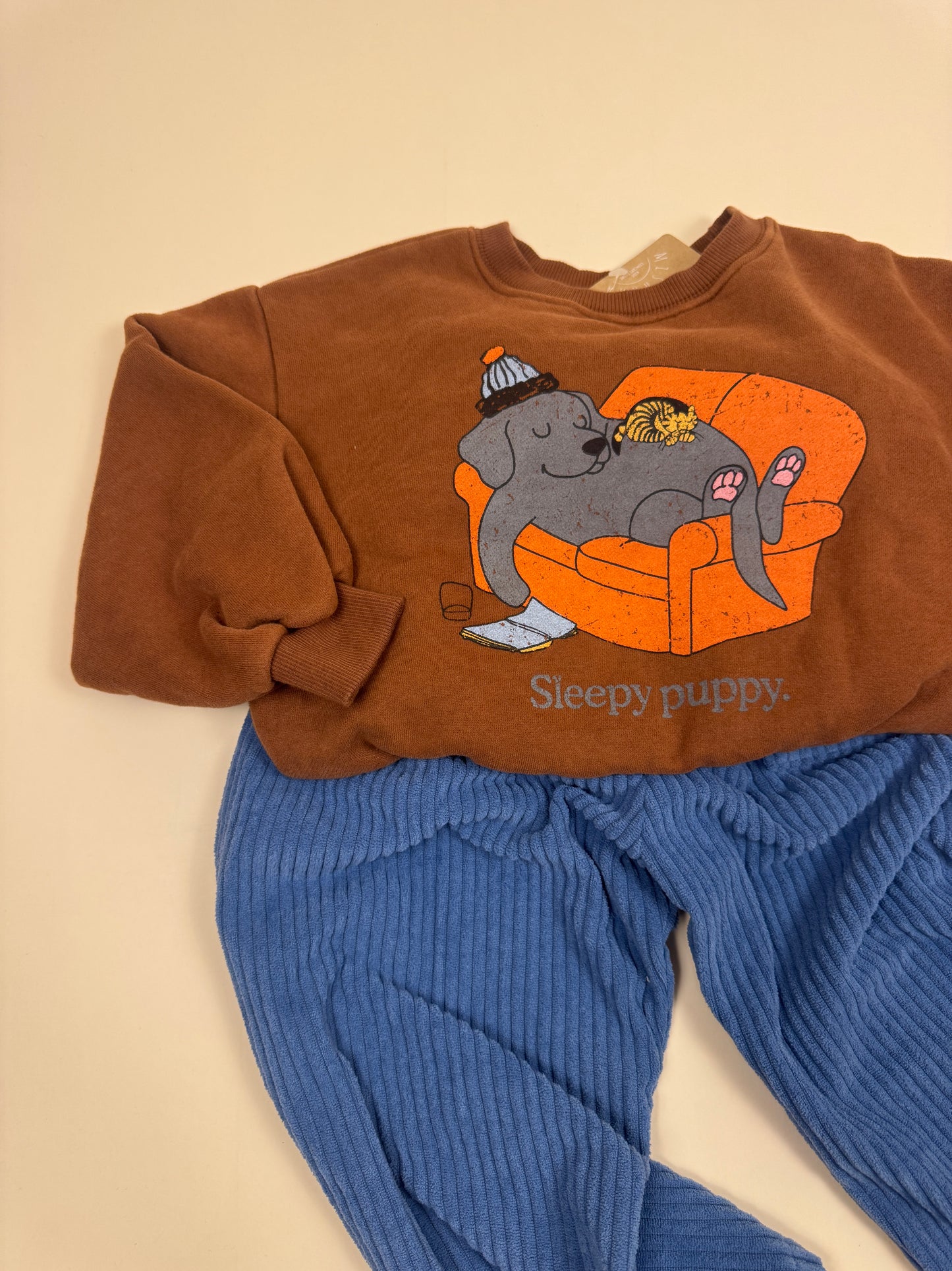 SWEATSHIRT| lazy dog