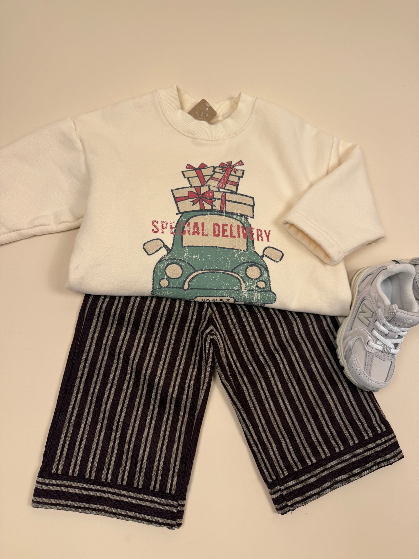 SWEATSHIRT| car delivery