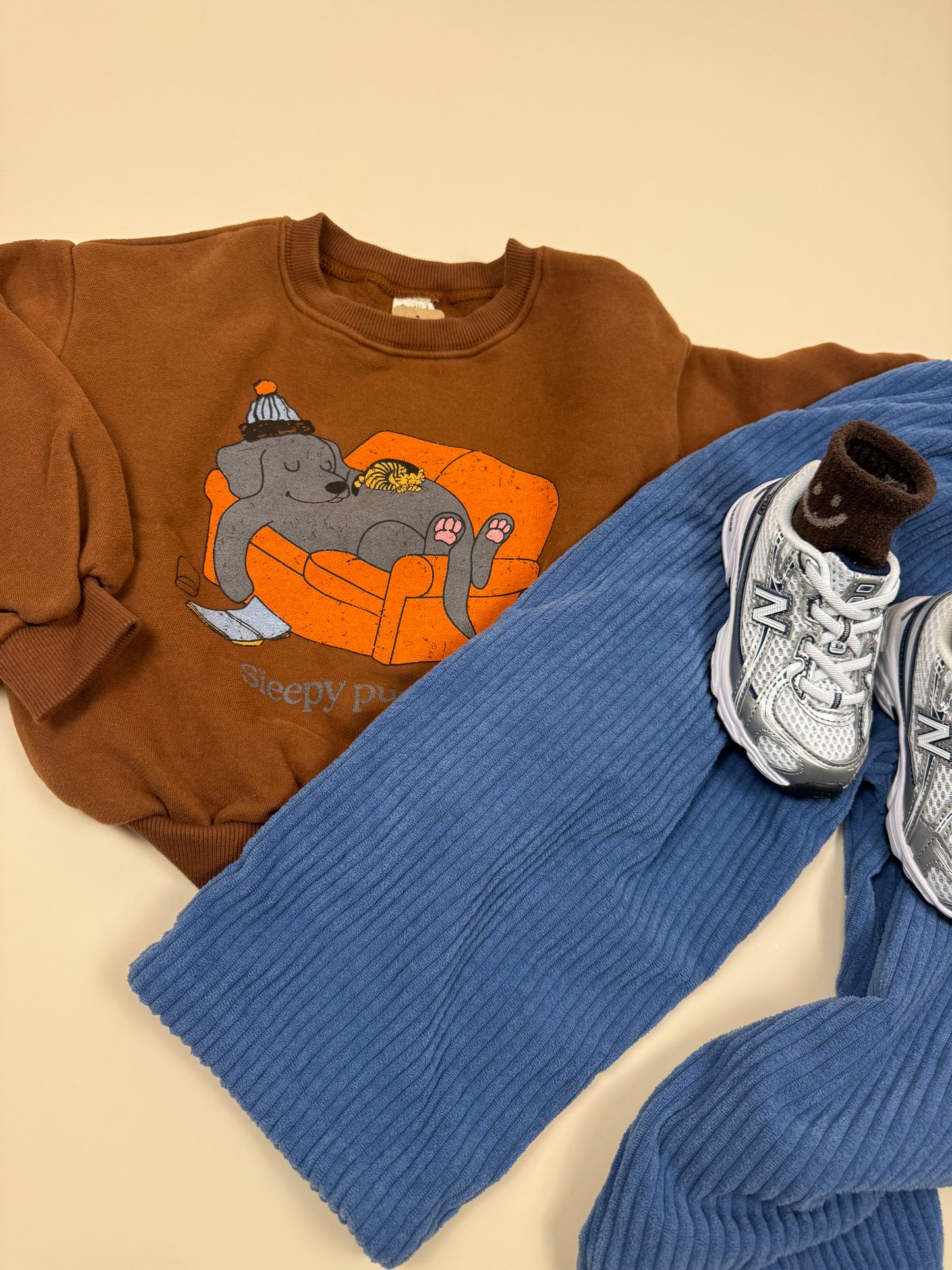 SWEATSHIRT| lazy dog