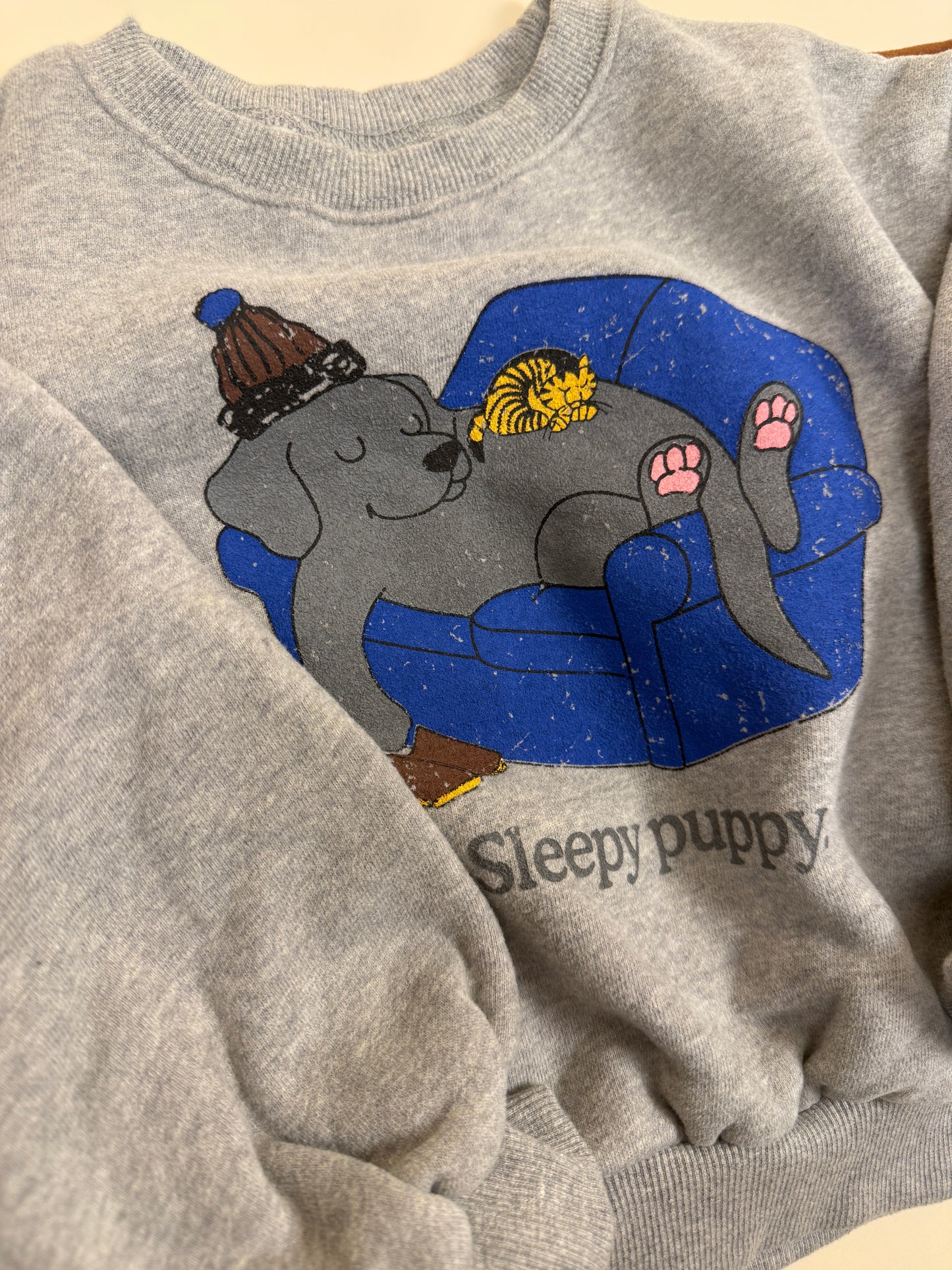 SWEATSHIRT| lazy dog
