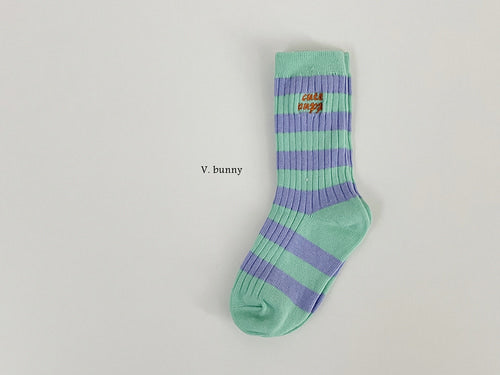 SOCKS| puppy set of 4